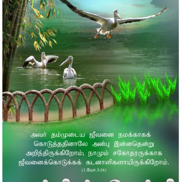 யூலை – செப்டெம்பர் 2011