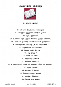 Anbin Seithy Vol.3_Seite_02