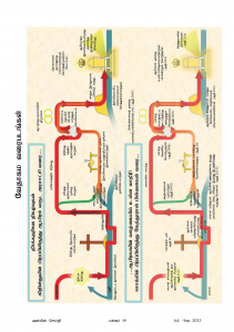 Anbin Seithy Vol.5_Seite_61
