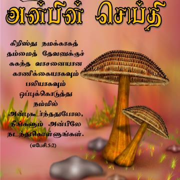 ஏப்ரல் – யூன் 2013