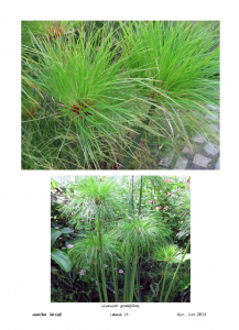 Anbin Seithy Vol.8_Seite_26